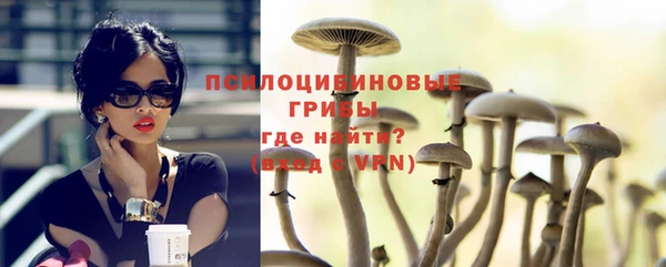 индика Абдулино