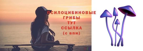 круглые Абаза