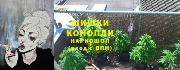 индика Абдулино