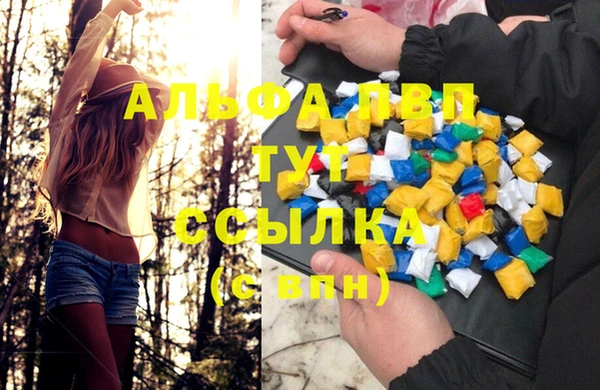 индика Абдулино