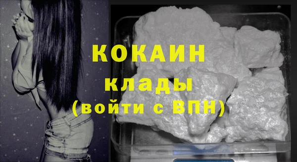 индика Абдулино