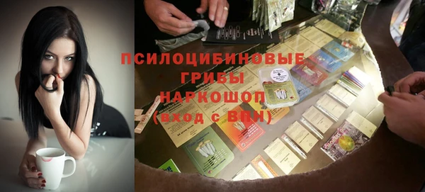 индика Абдулино